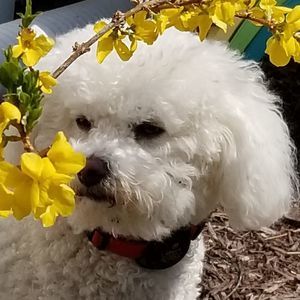 Meet your Posher, Christine